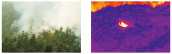 放山火红外热像仪