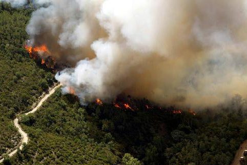 双光谱红外热成像技术在森林防火