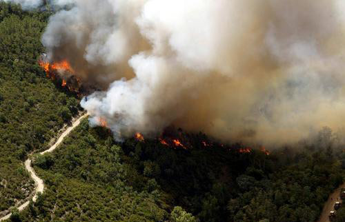 双光谱红外热成像技术在森林防火