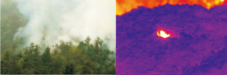 双光谱红外热成像技术在森林防火的应用
