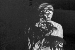 警用红外热像仪热图