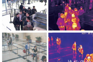 红外热像仪用于检验检疫-4