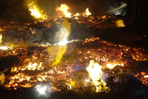 垃圾站着火监控