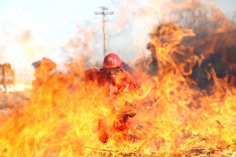 森林火灾救火
