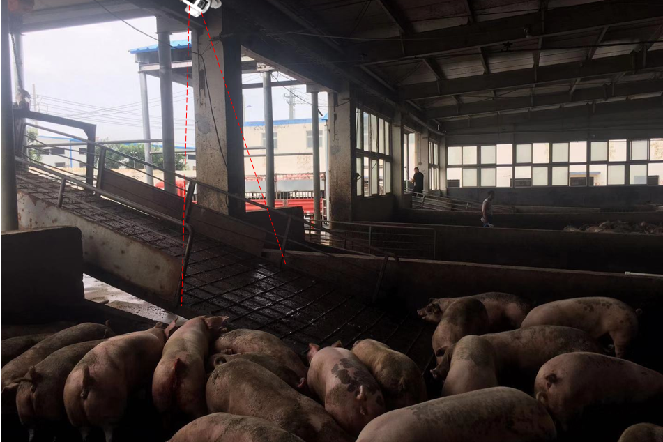 猪场入口处设备安装示意图