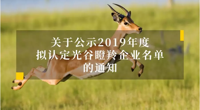 格物优信荣获2019光谷“瞪羚企业”称号