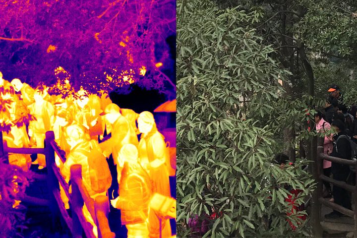 红外热成像图片和可见光图片